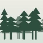 Lesní bar U sekvoje